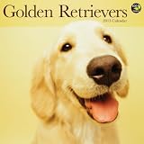 Golden Retrievers Calendar