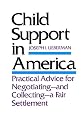 Child Support in America: Practical Advice on Negotiating and Collecting a Fair Settlement