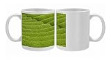 Rows of green tea bushes growing on the Makinohara tea plantations in Shizuoka, Photo Mugs
