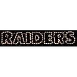 Oakland Raiders Yard Lights