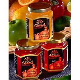 Cheri's Prickly Pear Cactus Jelly - 8 oz - Cacti Jam - Southwest Desert Spread- Southwestern Flavor