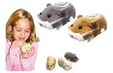 Zhu Zhu Pets Hamster Packs Assortment