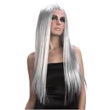 Ladies Fancy Dress Accessory Long Silver Wig 24 New