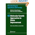 Molecular Genetic Approaches to Maize Improvement by Alan L. Kriz and Brian A. Larkins