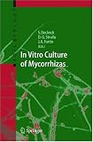 In Vitro Culture of Mycorrhizas