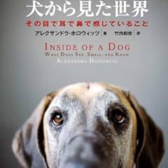 犬から見た世界―その目で耳で鼻で感じていること