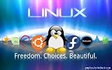 Ubuntu FedoraLinux