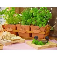 Axentia 364540 Kr�utergarten 3 T�pfe 15 x 15 cm, terra
