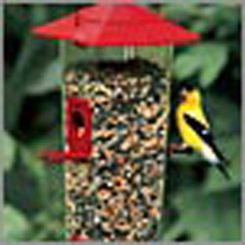 Combo Feeder (Bird Feeders) (Seed Feeders)
