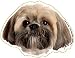 Lhasa Apso Magnet