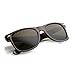 zeroUV Classic Eyewear 80's Retro Large Horn Rimmed Style Sunglasses (Tortoise/Brown)