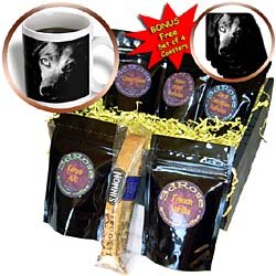 Dogs Dachshund - Black Dachshund Portrait - Coffee Gift Baskets - Coffee Gift Basket by 3dRose LLC