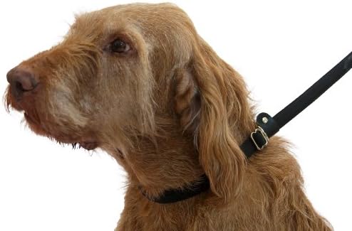 Dogs & Co Figure of 8 Dog Lead for dogs that pull. 3 leads in 1. Black