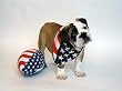 Bulldog and Ball - Beautiful 16"x20" Photographic Print by Carol M. Highsmith