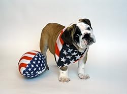 Bulldog and Ball - Beautiful 16"x20" Photographic Print by Carol M. Highsmith