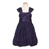 Bonnie Jean Navy Mesh Rosette Satin Tie Fall Flower Girl Dress 7-16