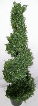 4' INDOOR/OUTDOOR Rosemary Spiral Topiary
