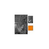 Nikon O-56 77mm Orange Filter (2464)
