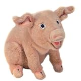 Pig Plush Soft Toy