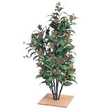 �y�l�H�A���z�Z�������E80cm
