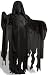 Harry Potter Dementor Costume Adult Standard