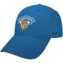Nike 2010 Winter Olympics Finland Light Blue Flex Fit Hat
