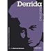 Derrida Reframed: A Guide for the Arts Student (Contemporary Thinkers Reframed)