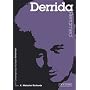 Derrida Reframed: A Guide for the Arts Student (Contemporary Thinkers Reframed)