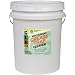 CLR Pro GRT-5Pro Commercial Drain Line and Grease Trap Treatment, 5 Gallon Pail
