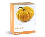 Gift Republic Grow It. Grow Your Own Pumpkins