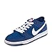 Nike Men's Dunk Low Pro IW Skate Shoe