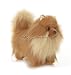   - Wildlife / Domestic Animals : Pamy the Pomeranian Dog 12