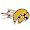 Iowa Hawkeyes
