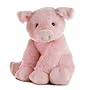 Aurora 15 inch Pookie