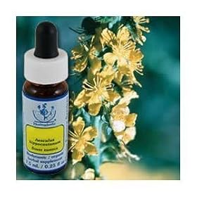 Flower Essence Services Agrimony Dropper, 0.25 Oz