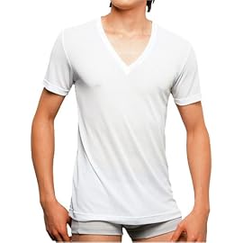 グンゼ BODY WILD CoolBalance VネックTシャツ(深めのVライン) BWC117S