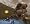 City of Heroes and City of Vilians: Good vs. Evil Edition