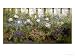 The Herbacious Border Giclee Poster Print by Patrick William Adam, 30x40 The Herbacious Border Giclee Poster Print by Patrick William Adam, 30x40
