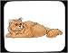   - Mouse Pad with kitten, cat, himalayan, feline, maltese