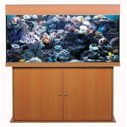 Aqua Medic Anthias 130 mit Fish