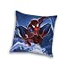 Confronta prezzi Herding 553608003 Cuscino decorativo Spiderman