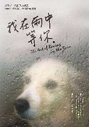 City Travel Guides Discounted  Books : Traditional Chinese Version of "The Art of Racing in the Rain" (Wo zai yu zhong deng ni, NOT in English)
