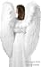 Adult's Super Large White Feather Angel Wings