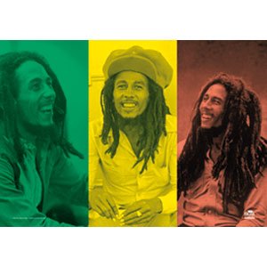 Bob Marley Rasta Collage Cloth Fabric Poster Flag