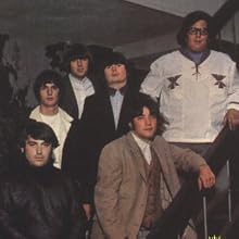 The Turtles