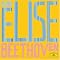 EMIL GILELS' GREATEST REALIZATIONS...