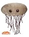 GIGANTIC Giant Microbes - E. coli (Escherichia coli) (15-20 Inch Plush Toy)