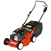 Efco LR 44 PK Steel Decked Petrol Lawnmower