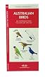 Australian Birds: An Introduction to Familiar Species (A Pocket Naturalist Guide)