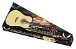 Dean Tradition Acoustic Guitar Pack with Gig Bag, Pitch Pipe and Picks